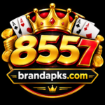 8557-game