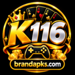 k116-game